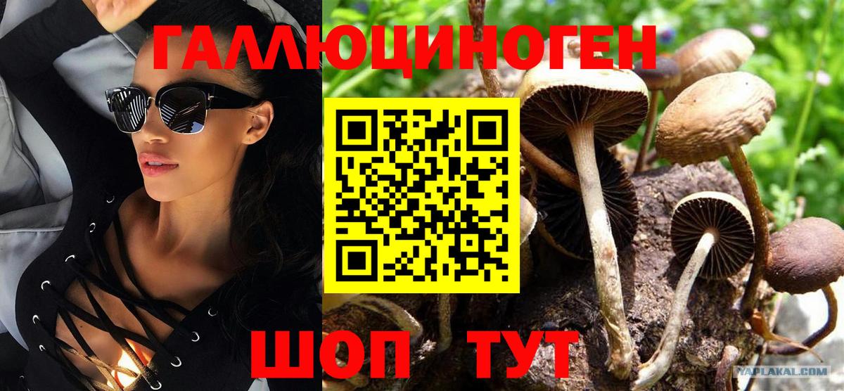 Саратов  Псилоцибиновые грибы Cubensis  Вход с VPN  Галлюциногенные грибы MAGIC MUSHROOMS 
